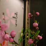 佐賀市咲くらで一足早いお花見を🌸